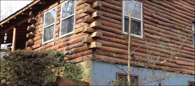 Alabama Log Home Repair Brantley, Alabama